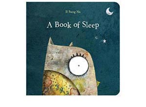 a book of sleep book