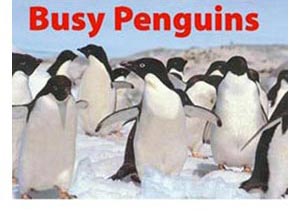 busy penguins book