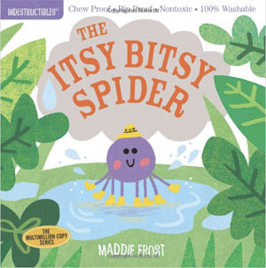 itsy bitsy spider book