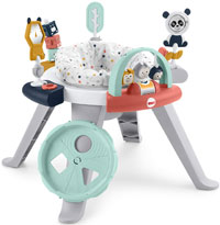the fisher price spin and sort activity center