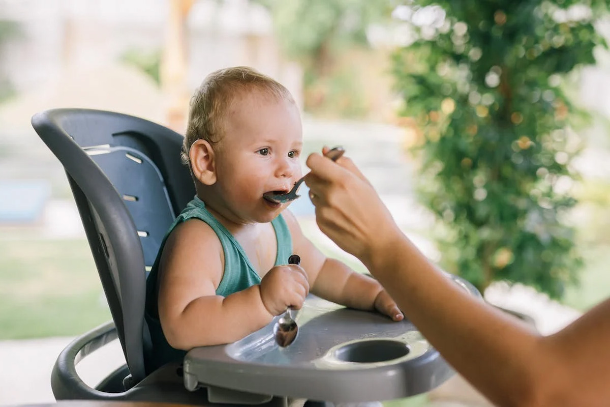 best baby food purees fruits and vegetables