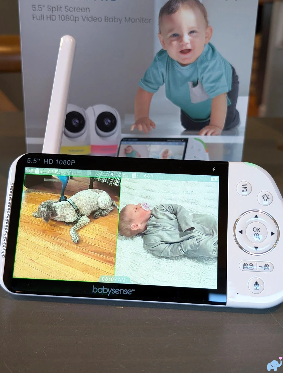 Babysense MaxView Pro split-screen mode showing a baby on one camera and a puppy on the other