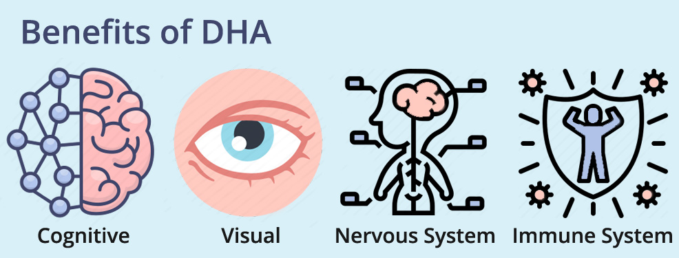 developmental benefits of DHA