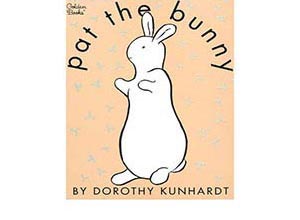 pat the bunny book