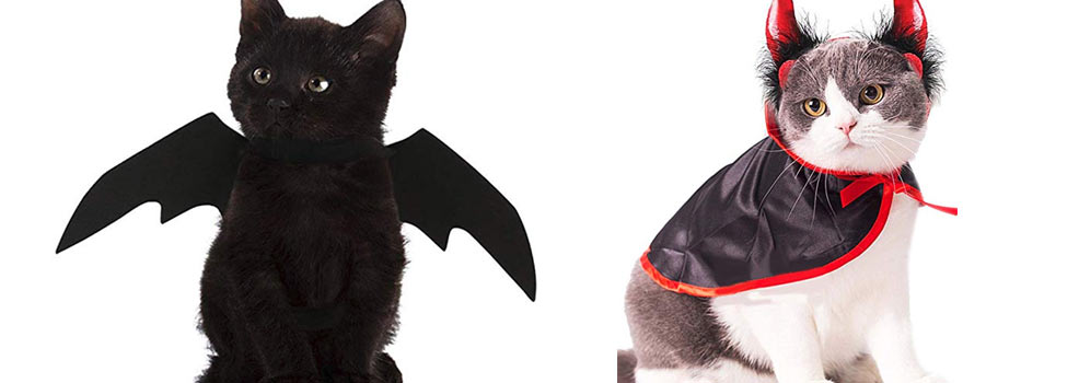 Halloween Costumes For Cats Count Me In Mommyhood101