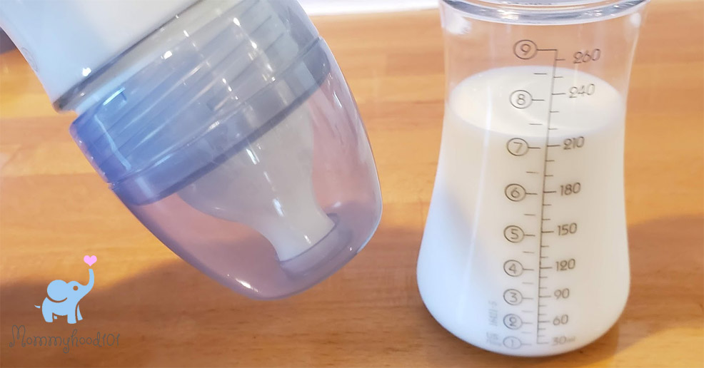 The Best Sippy Cups of 2024, Tested & Reviewed - Mommyhood101