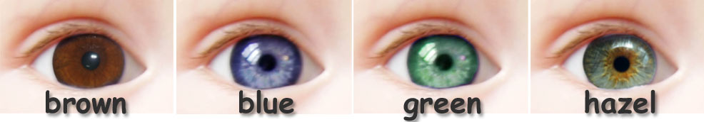 Can two blue-eyed parents have a green or brown-eyed child? - The Tech  Interactive