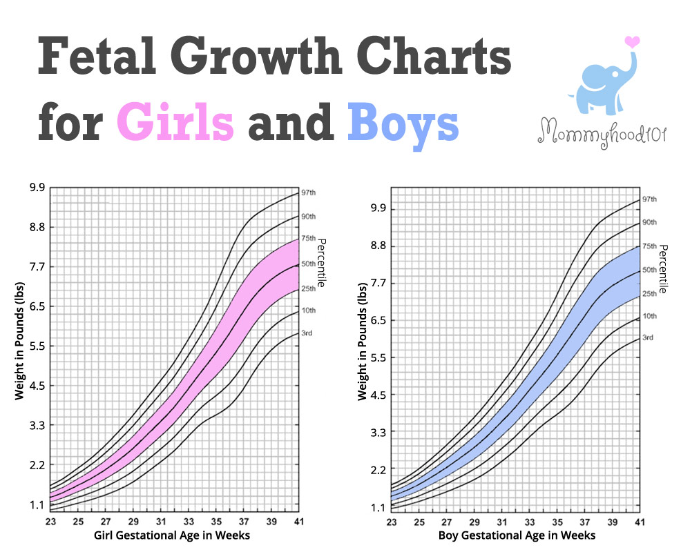 fetal growth chart boys girls updated weight percentiles
