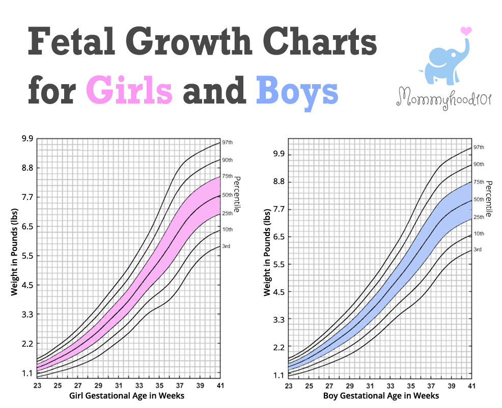 fetal-weight-percentile-chart