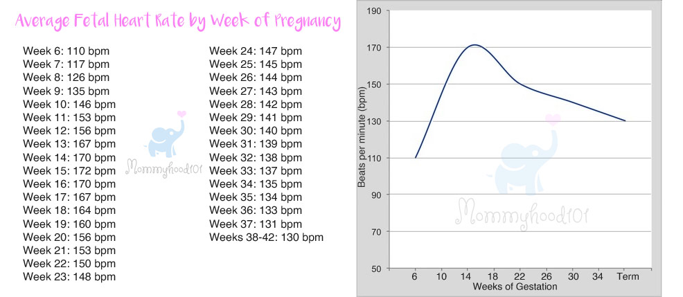 fetal heart rate by week of pregnancy