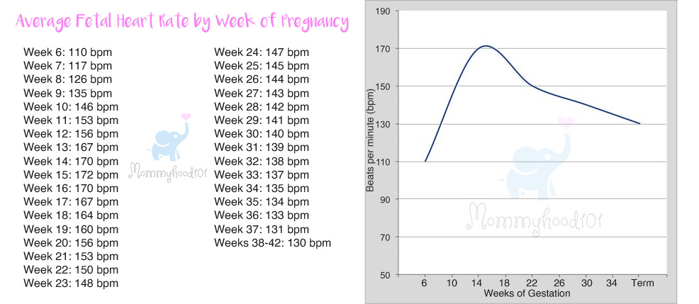 Fetal Heart Rate Chart By Week