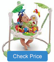 best baby activity center 2019 fisher price jumparoo