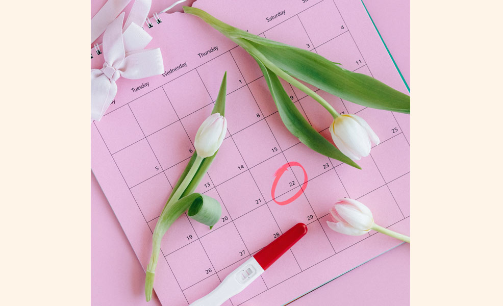 ovulation calendar predictor