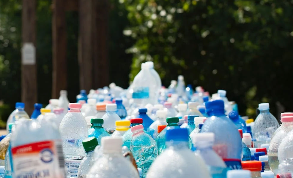 plastic bottles exposure during pregnancy