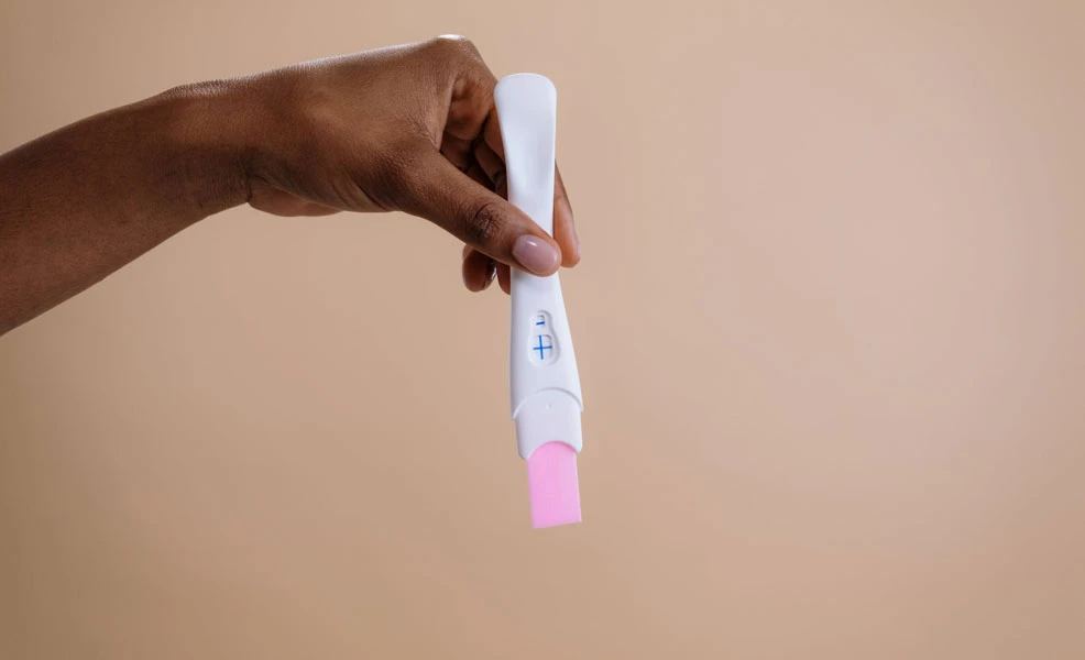 ovulation calendar predictor