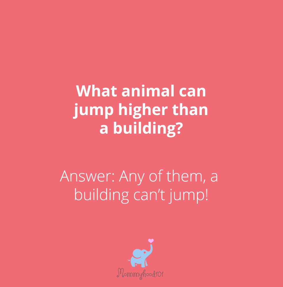 kids riddles about animals