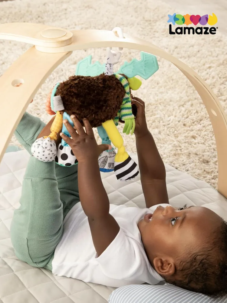 Lamaze Mortimer the Moose sensory toy hanging from a car seat