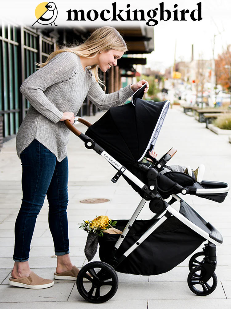 The Best Strollers of 2024, Tested & Reviewed Mommyhood101