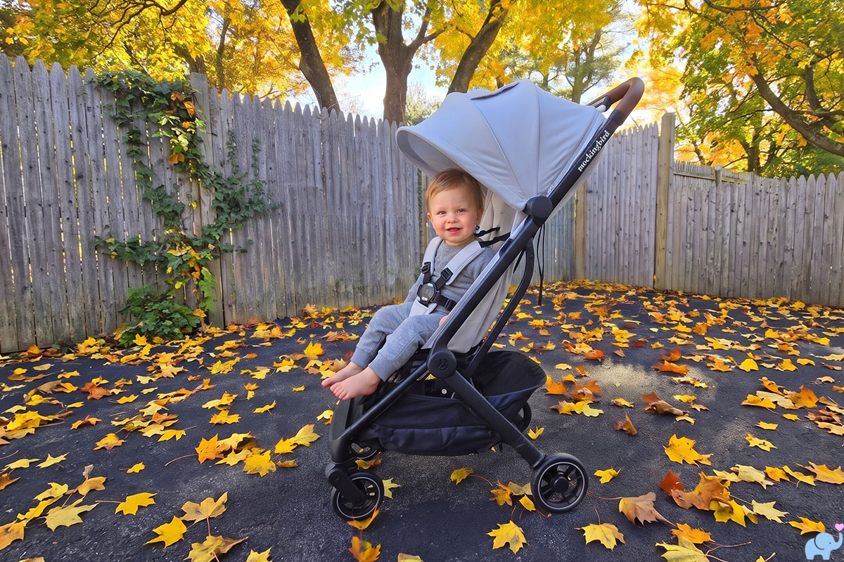 the mockingbird travel stroller with a toddler sitting in it in the background of a driveway in the autumn