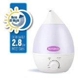 best humidifiers 2018 remedies