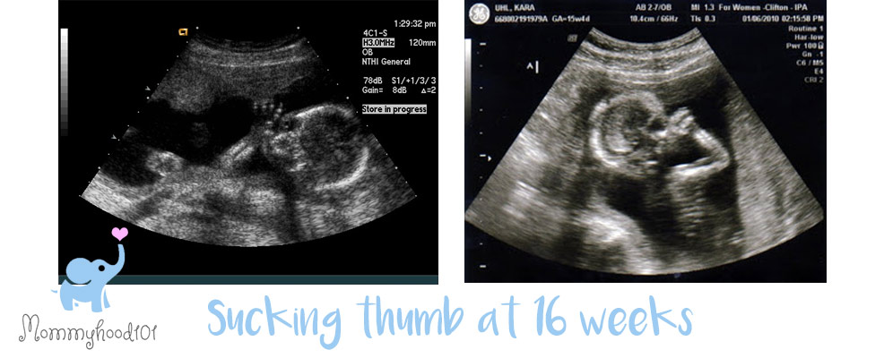 fetus sucking thumb pregnancy