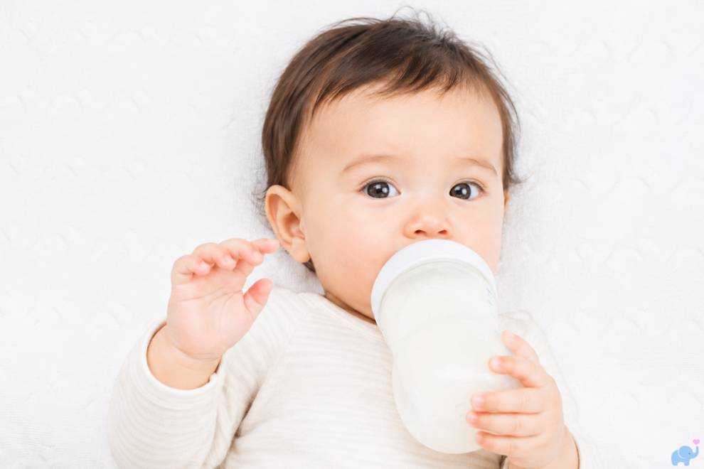 Best Baby Bottles of 2026, Tested & Reviewed