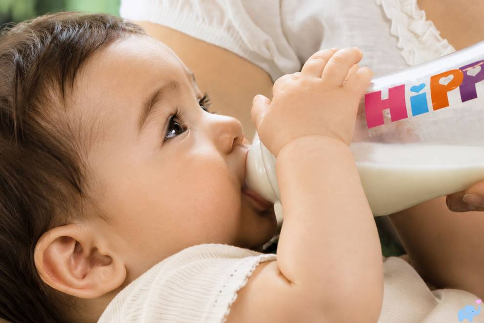 HiPP Dutch Combiotic Baby Formula Review and Analysis