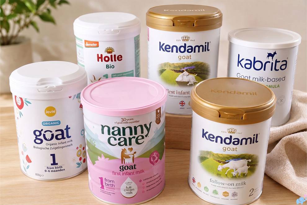 Best Goat Milk Formulas of 2026, Tested & Reviewed
