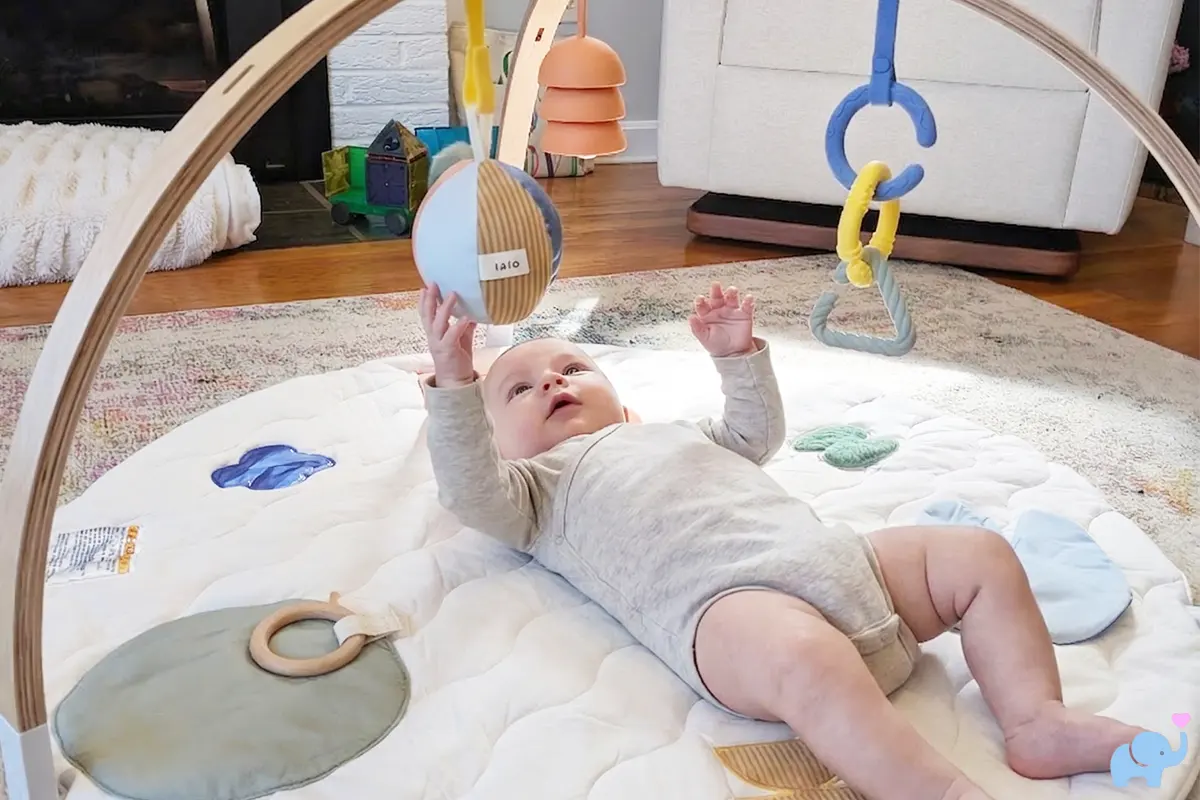 Lalo Play Gym II Review + Video