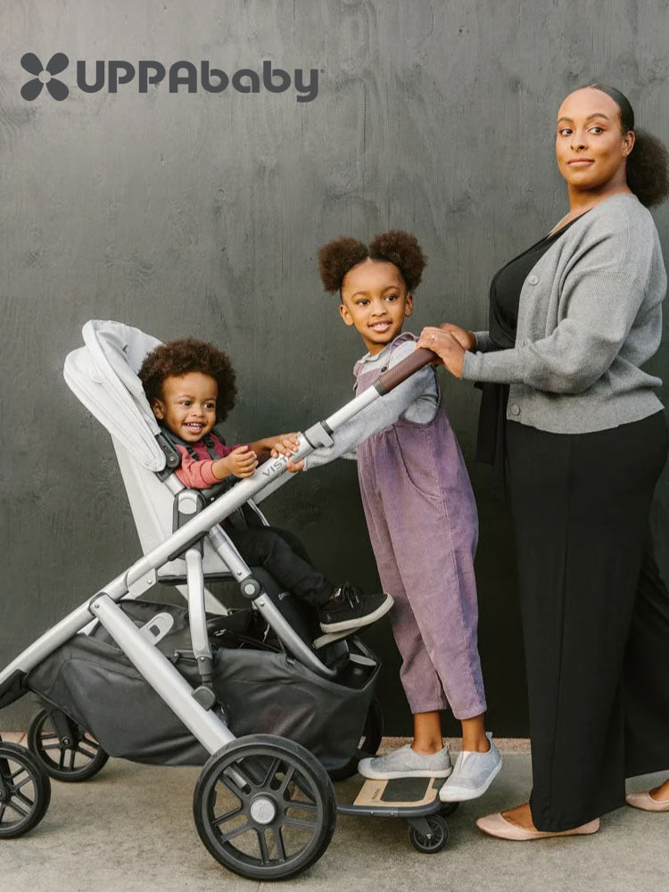 Expensive strollers online